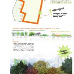Eco Radar 15