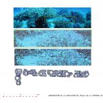 TerminalCruceros_27